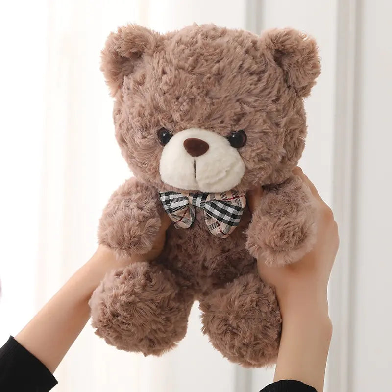 Teddy Bear Plush Toys