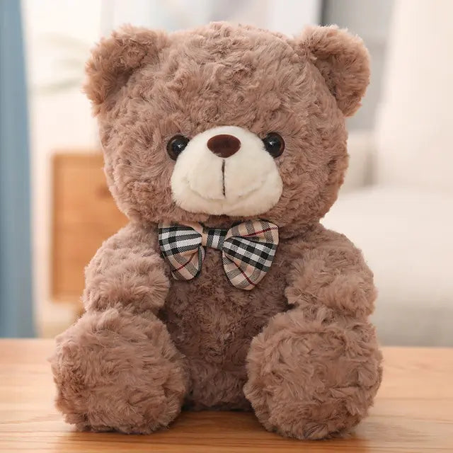 Teddy Bear Plush Toys