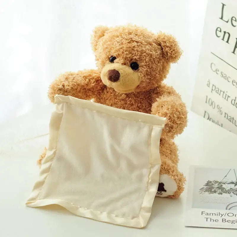 Teddy Bear Peekaboo Toy